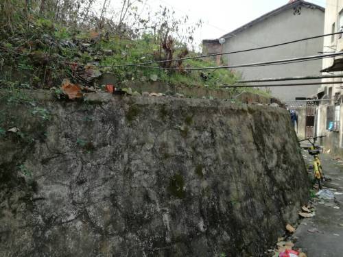 蛮王之墓旅行图片 2