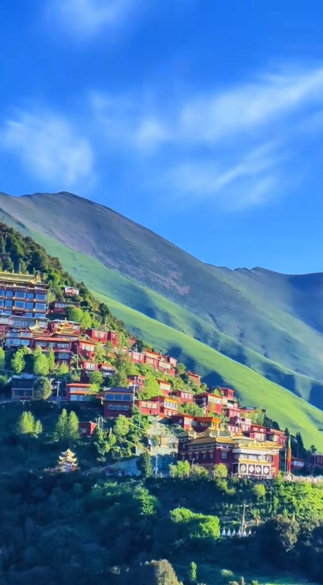孟卓龙寺实景照片