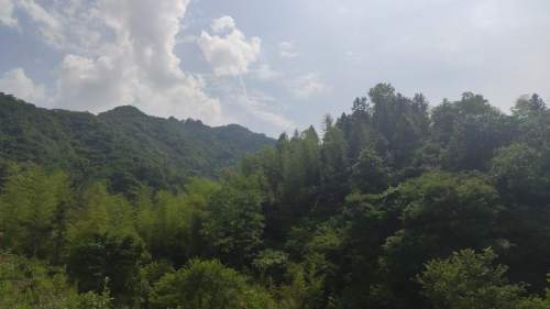 舒城县望母山旅游风景区旅行图片 1