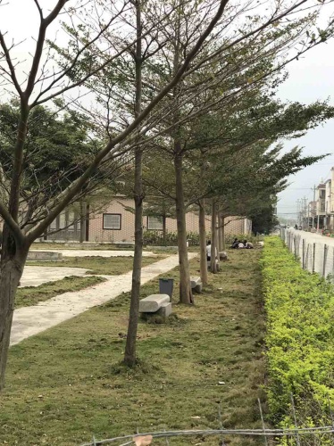 后埔公园旅行图片 3