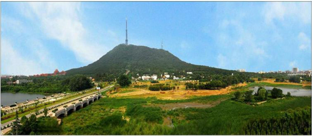 蜀山森林公园景点图片