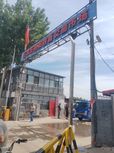 石家庄丽阳牲畜交易市场