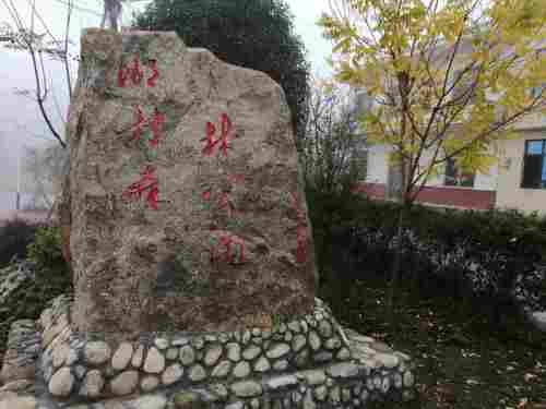 乡村森林公园旅行图片 3