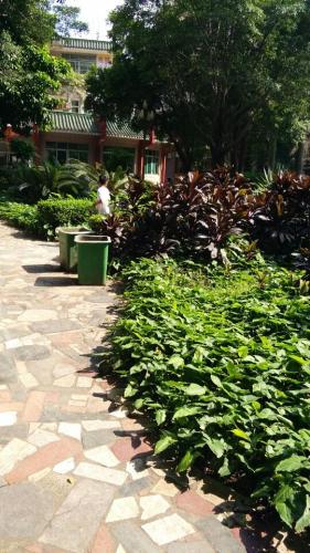 坑口公园旅行图片 3