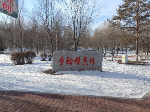 劳动模范林