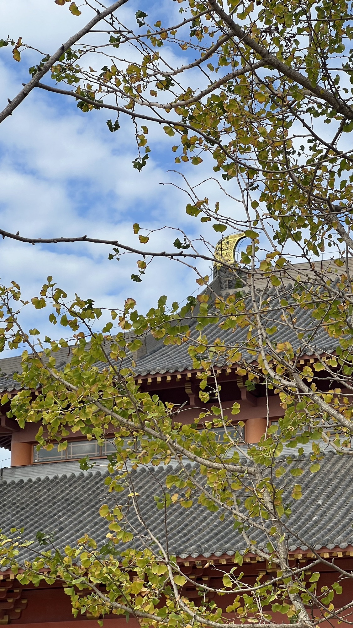 宝林寺实景照片