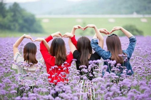纸鸢香草庄园旅行图片 1