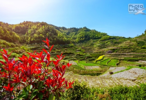 金华夹溪风景区旅行图片