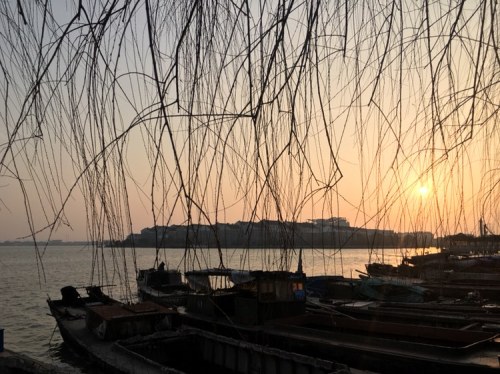 苏州市吴江区平望莺脰湖生态公园旅行图片 2