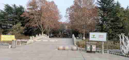 贾汪北郊公园旅行图片 2