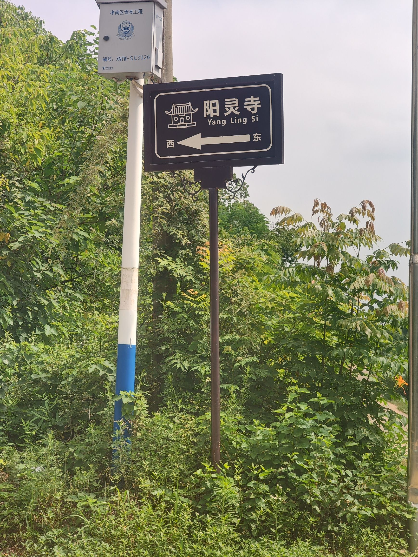 阳灵寺实景照片