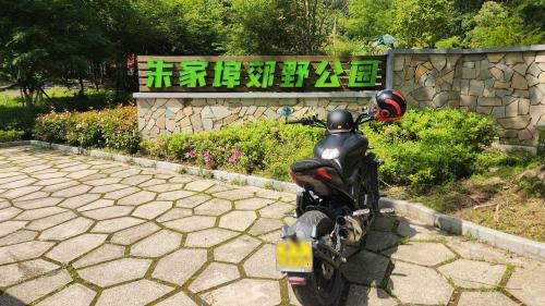 朱家埠郊野公园·彼岸花谷