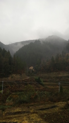 杨坪河坎生态区旅行图片 1