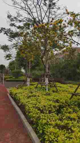 前庵文化公园旅行图片 1