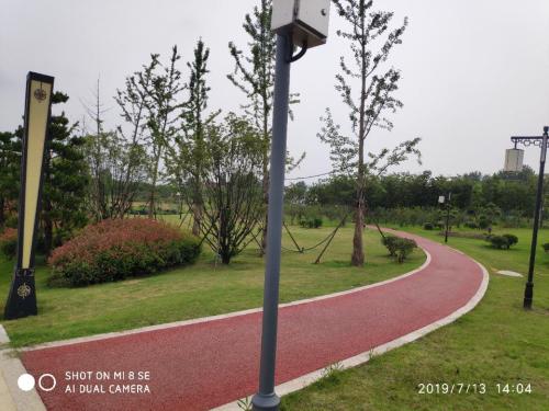 庙山公园旅行图片 1