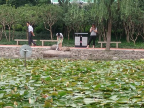 航华公园旅行图片 1