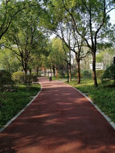庙行公园旅行图片 3