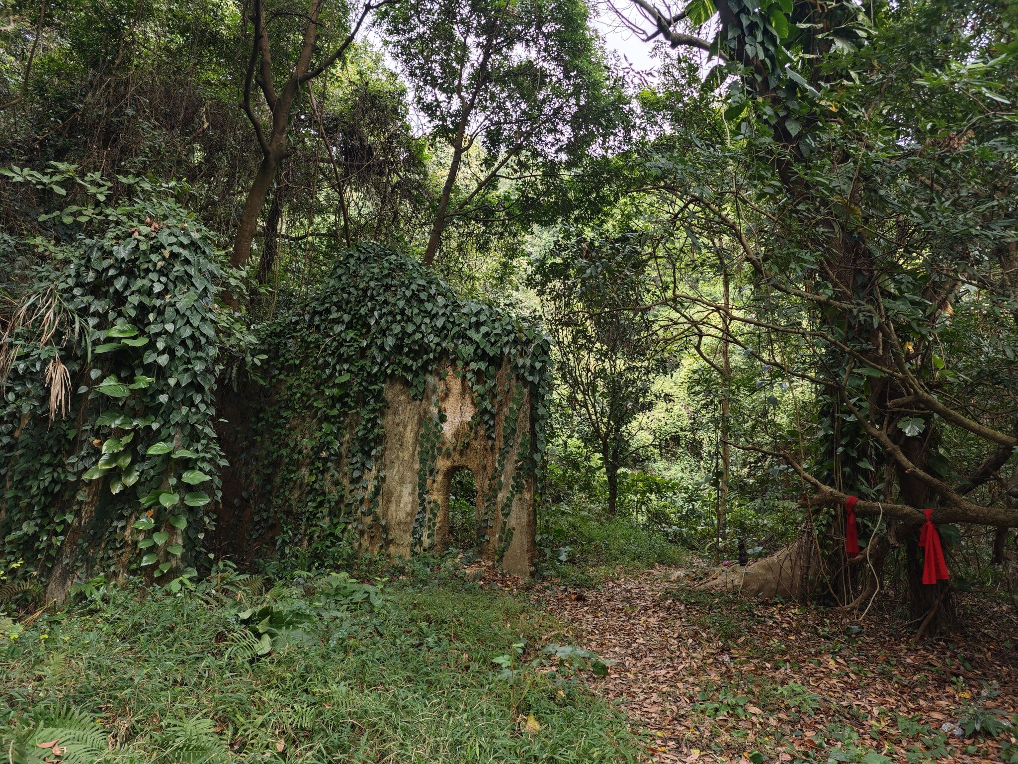 华堂庙遗址实景照片