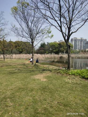 三里桥生态公园旅行图片 3