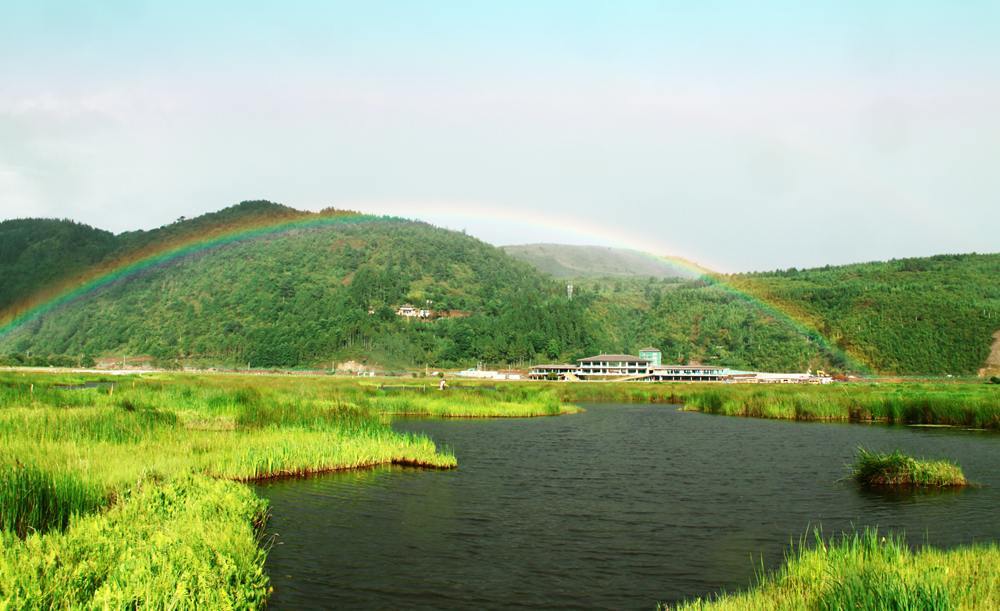 腾冲北海湿地景点图片