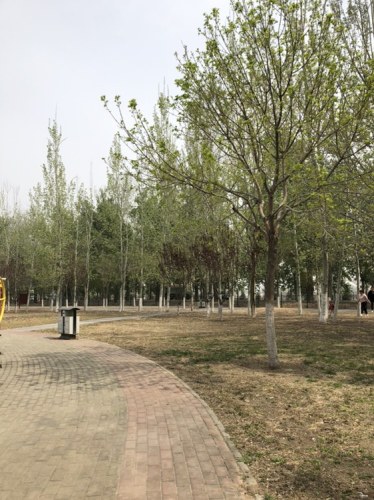 金海公园旅行图片 3