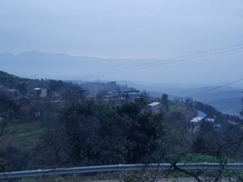 涂家祠堂旅行图片 2