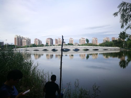 栖凤园旅行图片 2