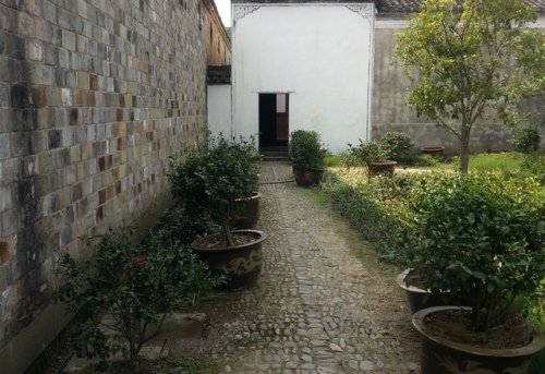玉山古茶场旅行图片 2
