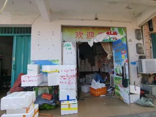 文城好果椰水果批发店