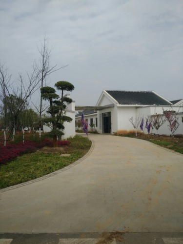 花山金港汽车主题公园旅行图片 1