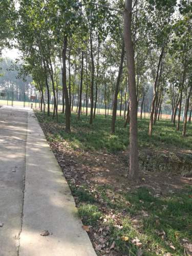 五农公园旅行图片 1