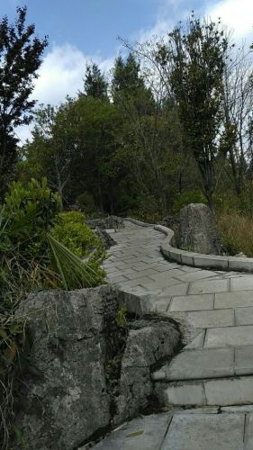 红果后山公园旅行图片 1