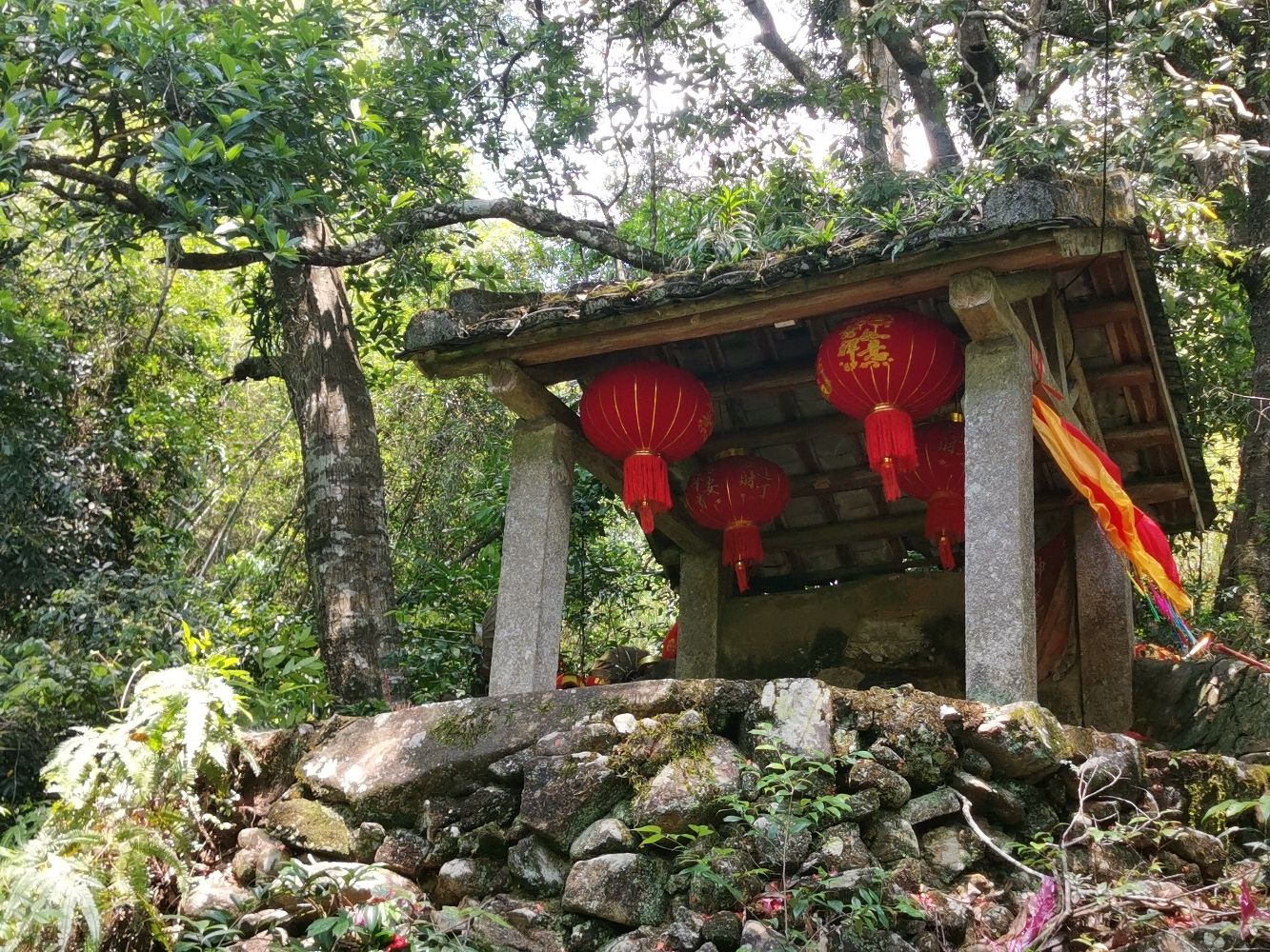 陆河县七圣仙娘实景照片