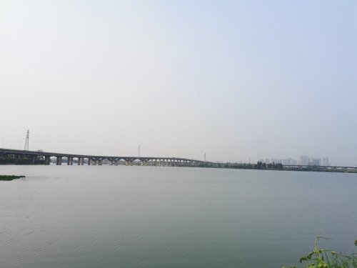 野芷湖旅行图片 1