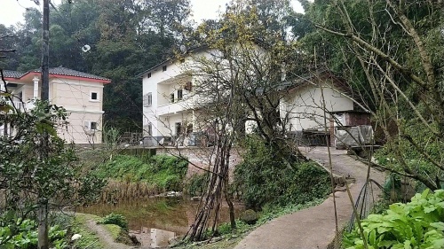 Gallery 3