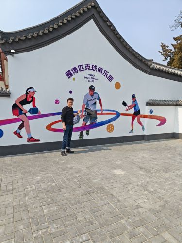 雅博匹克球