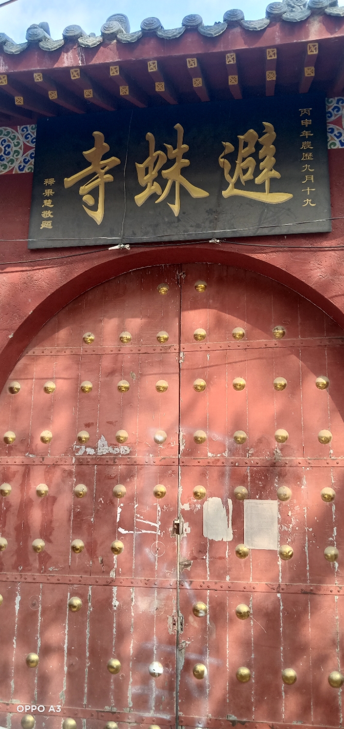 避蛛寺实景照片