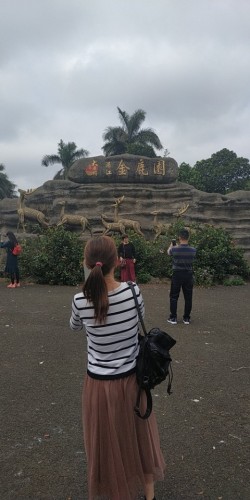 金鹿园旅行图片 2
