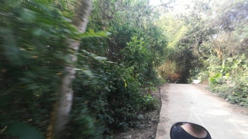 北海英罗红树林保护区旅行图片 1