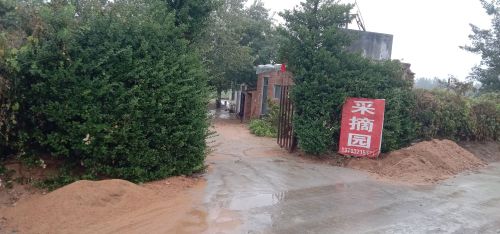 增国采摘园