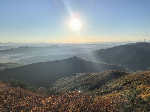 蜂蜜山