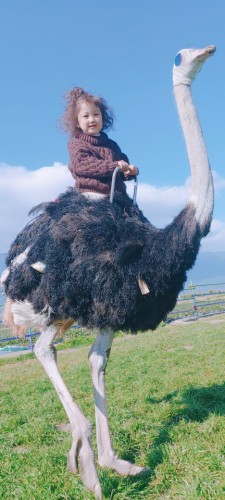 清花湾观景码头旅行图片 2