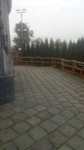柏郊塔旅行图片 1
