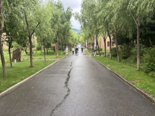 西夹荒生态旅游度假区旅行图片 3