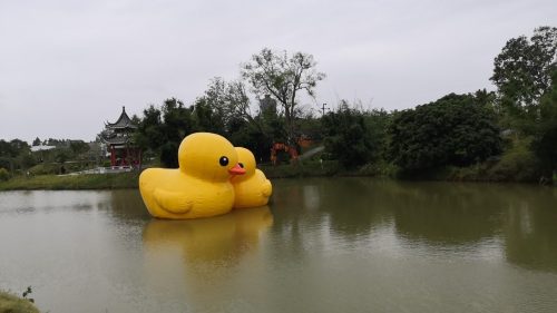 北部湾花卉中心广场旅行图片 3
