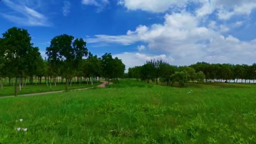 淮河休闲公园