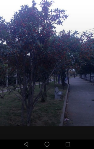 永阜公园旅行图片 2