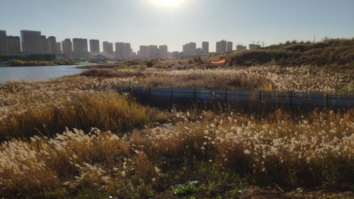 光明公园旅行图片 2