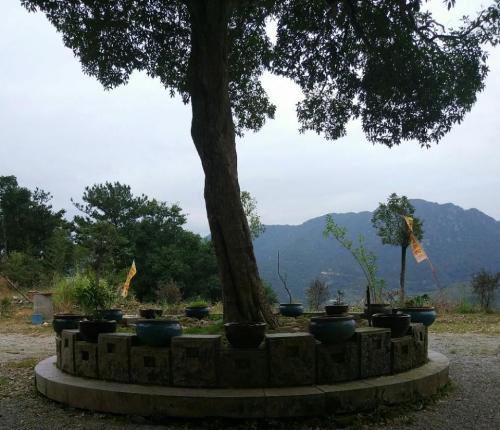 天禄岩旅行图片 1