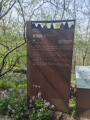 铁山寺国家森林公园-黄檀园